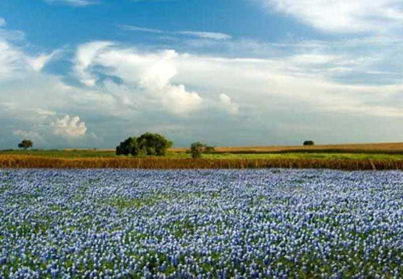 Courtyard Marriott Houston Pearland Hotel Bagian luar foto